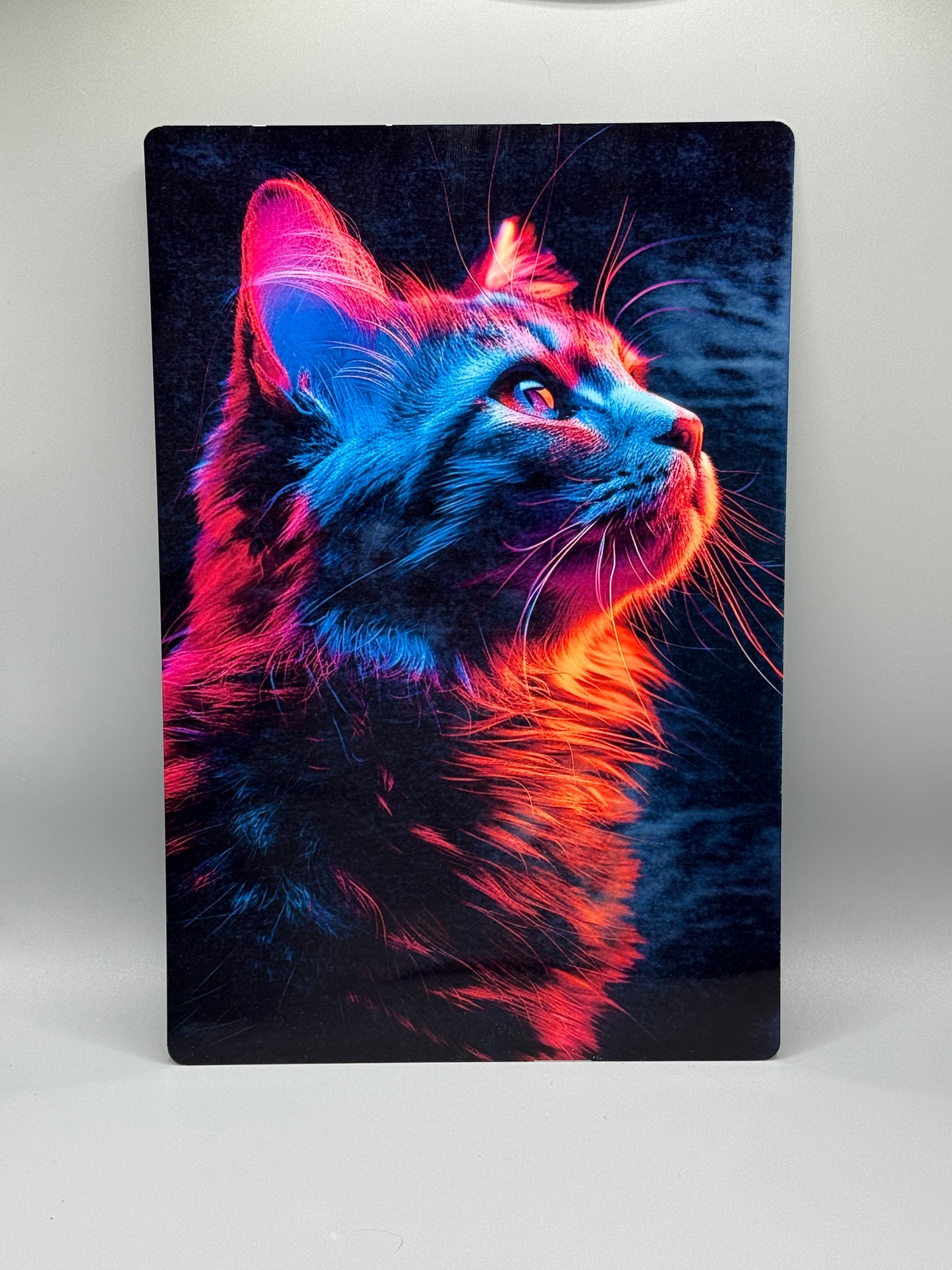 HD Aluminium Sublimation Wall Art